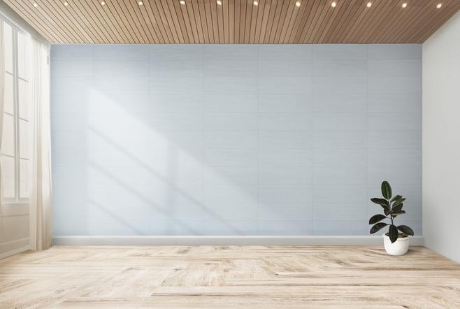 PSD室内墙面空间背景样机贴图墙壁纹理植被家具装饰布局设计素材